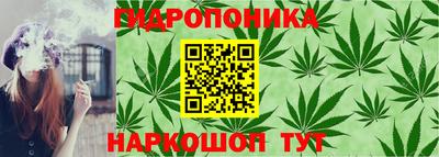 прущие грибы Донской
