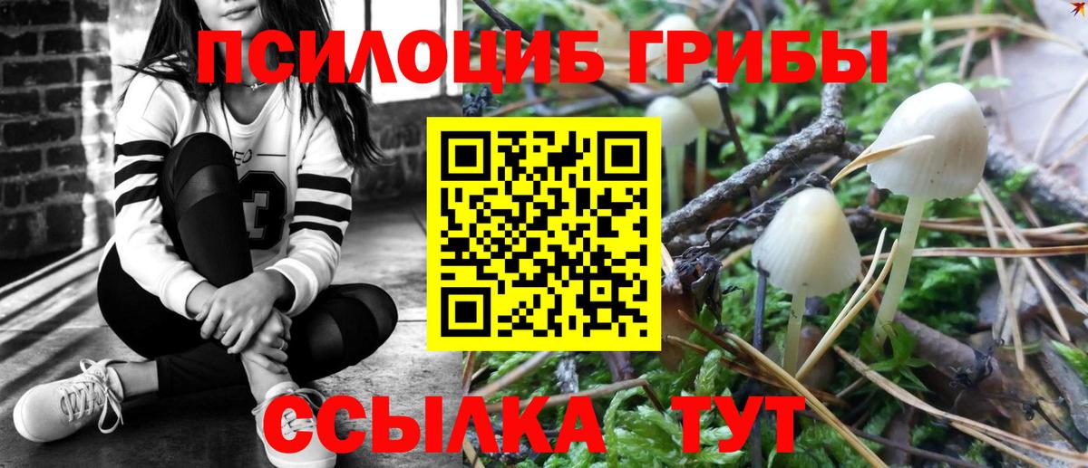 Малгобек  Галлюциногенные грибы MAGIC MUSHROOMS  Галлюциногенные грибы Magic Shrooms  Вход с VPN 